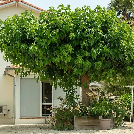 Maison Venitia T2 度假居